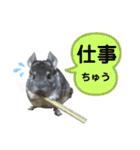 ポコの日常会話2（個別スタンプ：4）