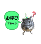 ポコの日常会話2（個別スタンプ：5）