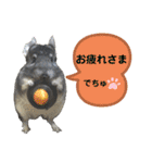 ポコの日常会話2（個別スタンプ：13）