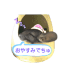 ポコの日常会話2（個別スタンプ：14）