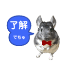 ポコの日常会話2（個別スタンプ：15）