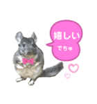 ポコの日常会話2（個別スタンプ：16）