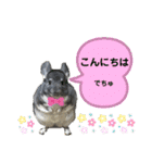 ポコの日常会話2（個別スタンプ：17）