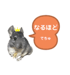 ポコの日常会話2（個別スタンプ：18）