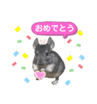 ポコの日常会話2（個別スタンプ：19）