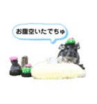 ポコの日常会話2（個別スタンプ：21）