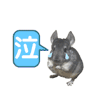 ポコの日常会話2（個別スタンプ：23）