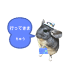 ポコの日常会話2（個別スタンプ：24）