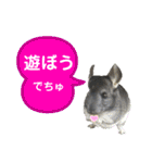 ポコの日常会話2（個別スタンプ：25）