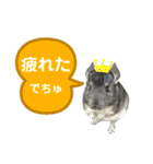 ポコの日常会話2（個別スタンプ：26）