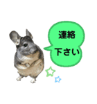 ポコの日常会話2（個別スタンプ：27）