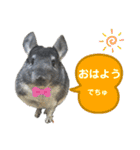 ポコの日常会話2（個別スタンプ：28）