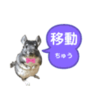 ポコの日常会話2（個別スタンプ：29）