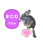 ポコの日常会話2（個別スタンプ：30）