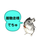 ポコの日常会話2（個別スタンプ：31）