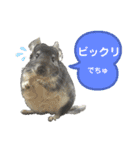ポコの日常会話2（個別スタンプ：32）