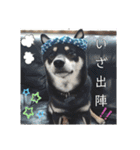 黒しば琥太郎②（個別スタンプ：3）