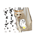 あるとおから（個別スタンプ：2）