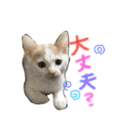 あるとおから（個別スタンプ：3）