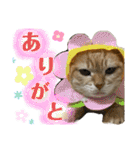 あるとおから（個別スタンプ：4）