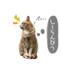 あるとおから（個別スタンプ：8）