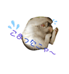 あるとおから（個別スタンプ：9）