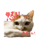 あるとおから（個別スタンプ：10）