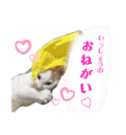 あるとおから（個別スタンプ：11）