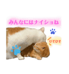 あるとおから（個別スタンプ：12）