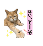 あるとおから（個別スタンプ：13）