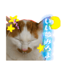 あるとおから（個別スタンプ：19）