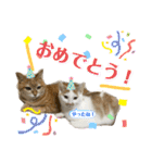 あるとおから（個別スタンプ：20）