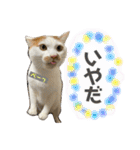 あるとおから（個別スタンプ：22）