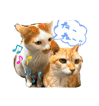 あるとおから（個別スタンプ：23）