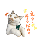 あるとおから（個別スタンプ：24）