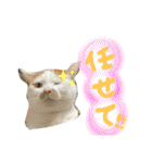 あるとおから（個別スタンプ：29）