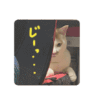 あるとおから（個別スタンプ：31）