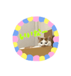 あるとおから（個別スタンプ：32）