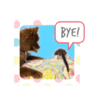 KumaKikiDâ20200714（個別スタンプ：6）