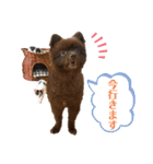 KumaKikiDâ20200714（個別スタンプ：10）