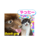 KumaKikiDâ20200714（個別スタンプ：12）