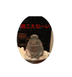 BéBé the Rabbit（個別スタンプ：5）