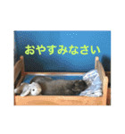 BéBé the Rabbit（個別スタンプ：6）