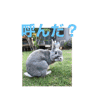 BéBé the Rabbit（個別スタンプ：8）