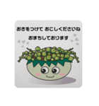 moon junior の 多肉植物と植木鉢（個別スタンプ：5）