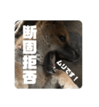 子犬に代わりに言ってもらうスタンプ〜日常（個別スタンプ：13）