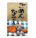 【犬＆猫】絵本みたいなアートな雰囲気（個別スタンプ：10）