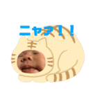 心花スタンプ2（個別スタンプ：19）