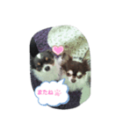 うちの可愛い子たち( *^艸^)（個別スタンプ：8）