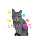 イシイのニャーさん2（個別スタンプ：8）